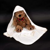 Photography of Baby hooded Cuddle Robe with wash cloth